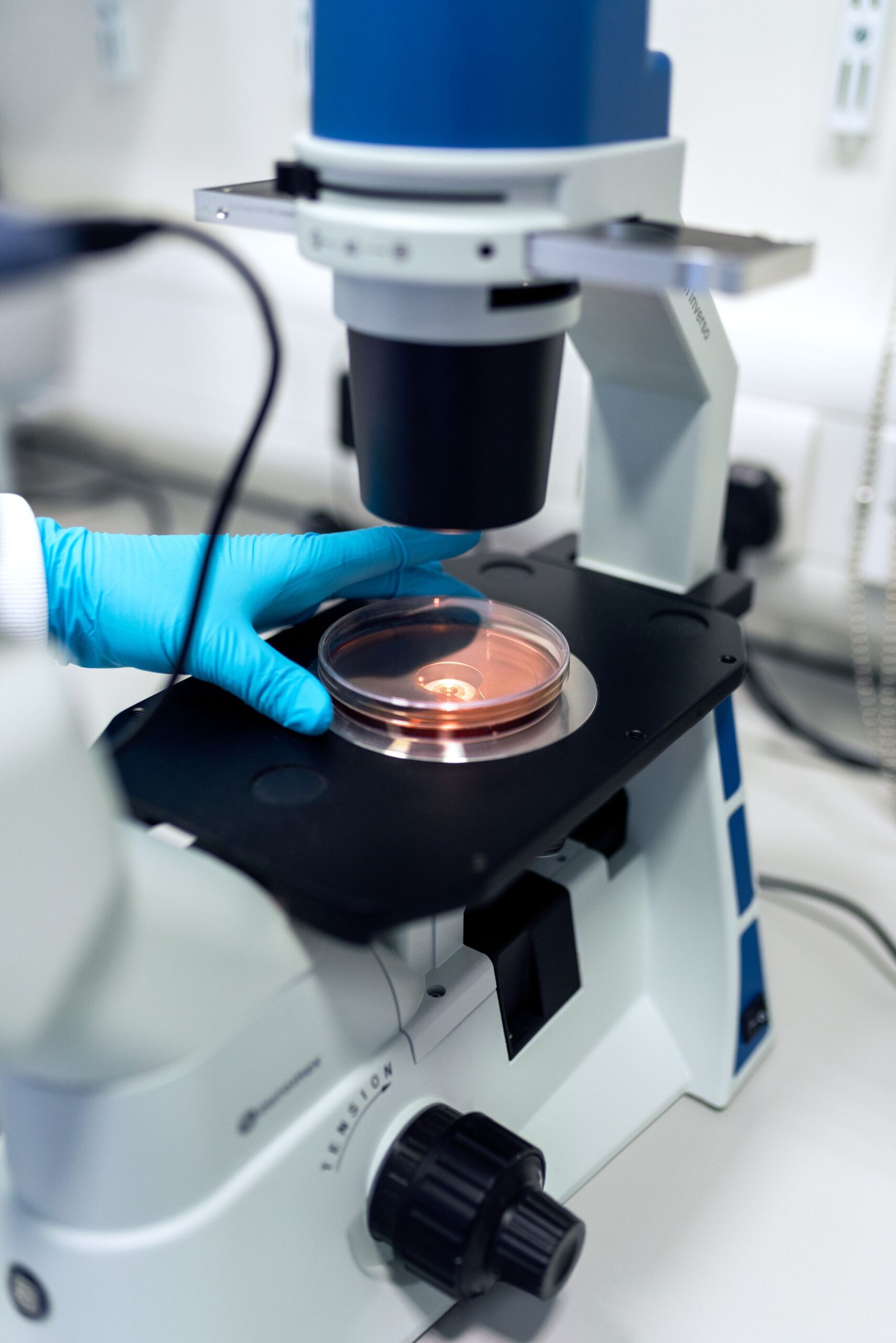 Microscopio da laboratorio con piastra Petri